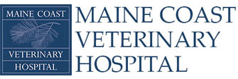Link to Homepage of Maine Coast Veterinary Hospital